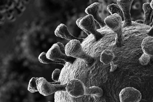 Coronavirus Close Up of Germ